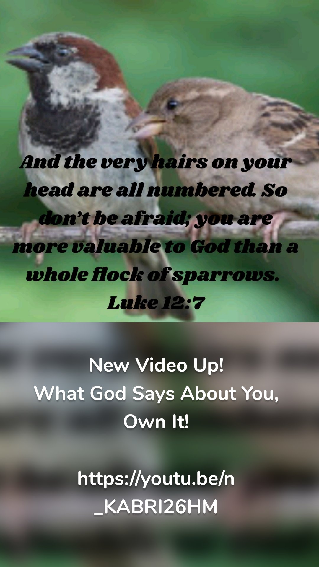 


New Video Up!
What God Says About You, Own It!

https://youtu.be/n_KABRI26HM